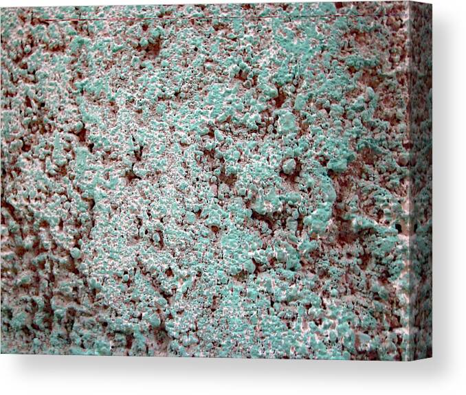 Texture Canvas Print featuring the photograph Texture No. 5-1 by Sandy Taylor