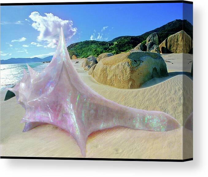 Sculpture Canvas Print featuring the sculpture The Crystalline Rainbow Shell Sculpture by Shawn Dall