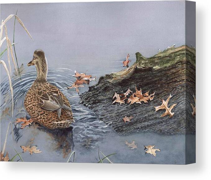 Mallard Canvas Print featuring the painting The Duck and the Alligator by Deb Brown Maher