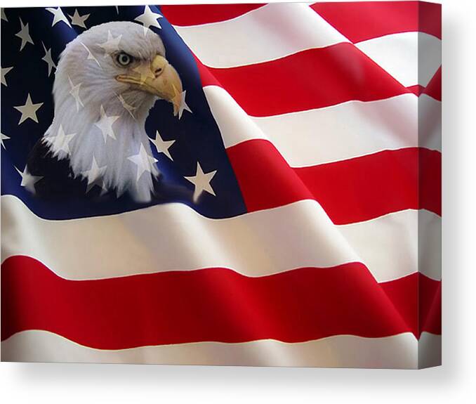 Nature Eagles American Flag Canvas Print featuring the photograph The Eagle Flag by Evelyn Patrick