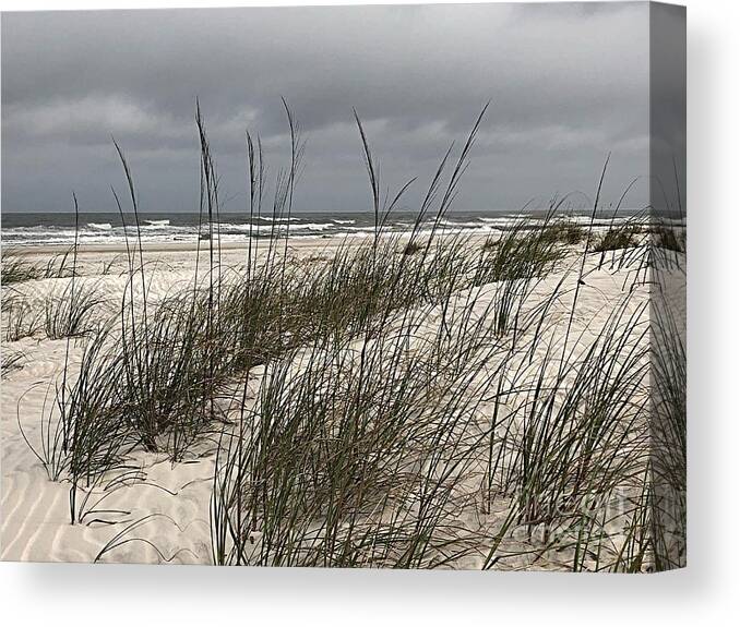 The Edge Of The Sea Canvas Print featuring the photograph The Edge of the Sea by Carol Riddle