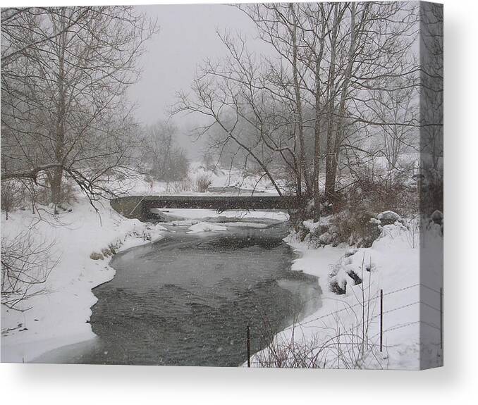 Snow Scene Canvas Print featuring the photograph The Face by Jack Harries