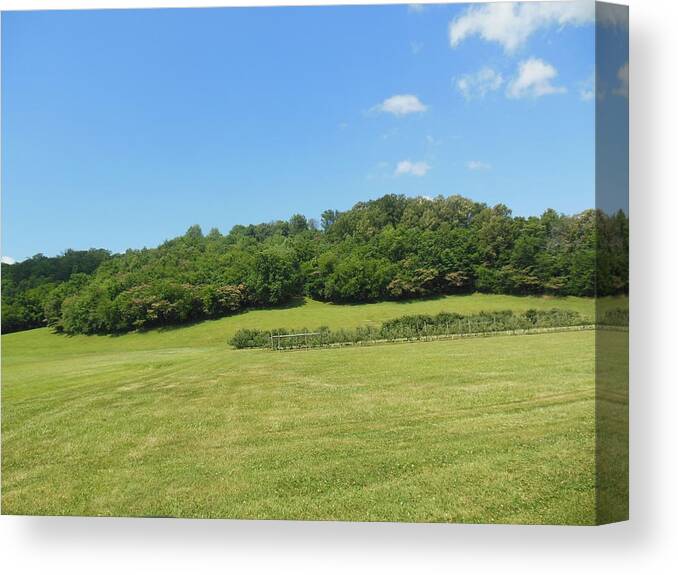 Field Canvas Print featuring the photograph The Grass is Always Greener by Ali Baucom