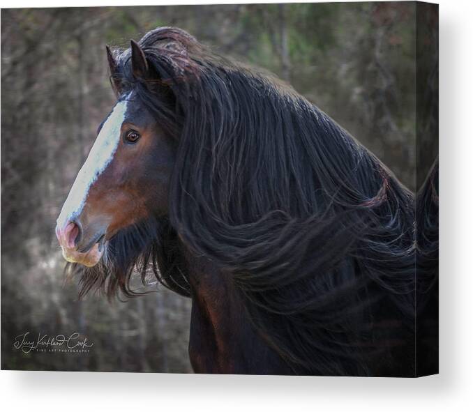 Horse Canvas Print featuring the photograph The Great Warrior by Terry Kirkland Cook