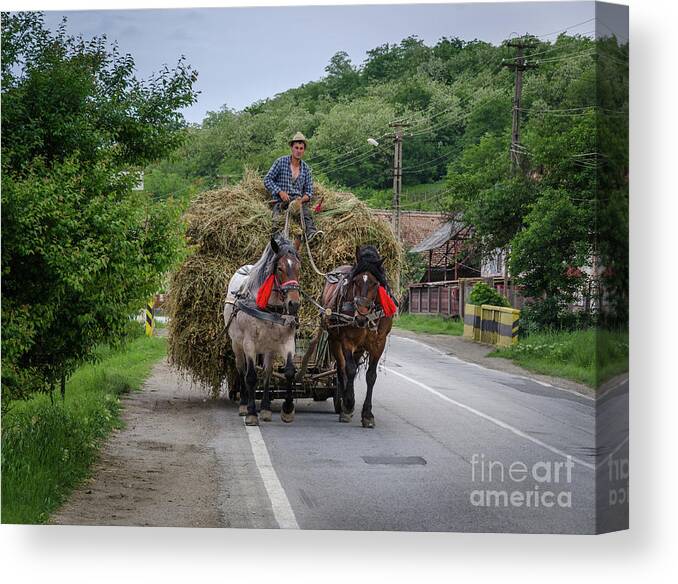 Hay Canvas Print featuring the photograph The Hay Cart, Romania by Perry Rodriguez