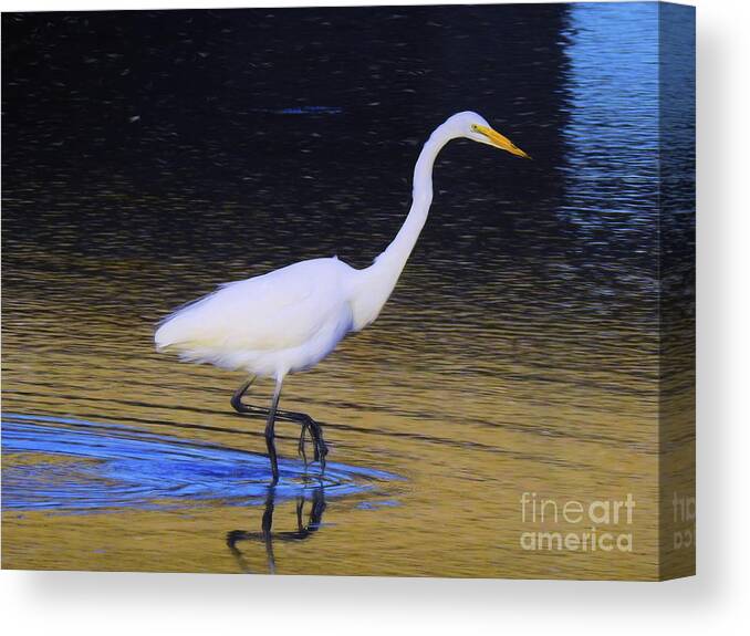 Great White Egret Canvas Print featuring the photograph The Hunt by Scott Cameron