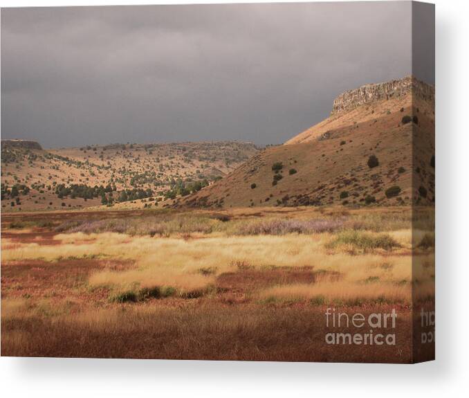 Fine Art Canvas Print featuring the photograph The Marsh Nelsons Reservior by Donna Greene