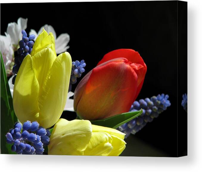 Bouquets Canvas Print featuring the photograph The Vibrance Of Spring by Angela Davies