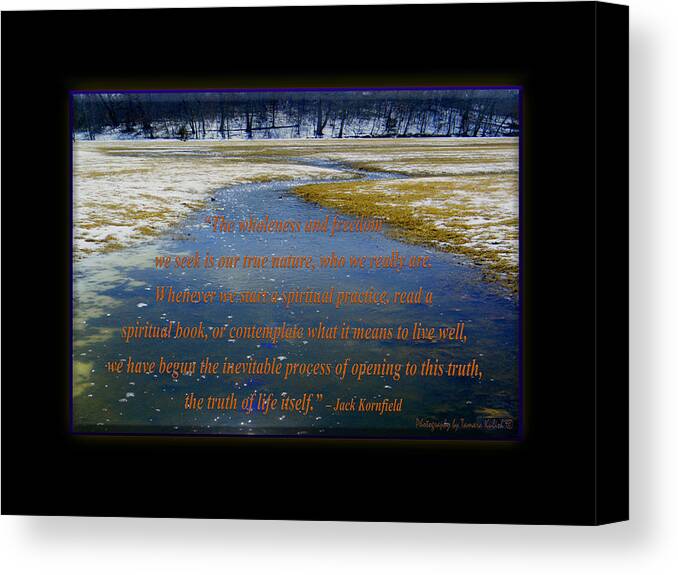 Bark Canvas Print featuring the photograph The Wholeness And Freedom We Seek Is Our True Nature by Tamara Kulish