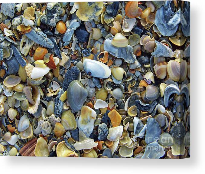 Amelia Island Canvas Print featuring the photograph They Are All Different by D Hackett