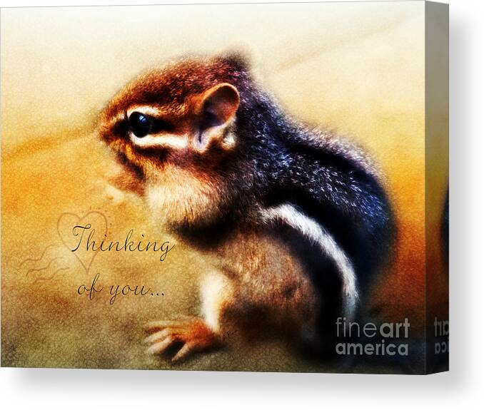 Thinking Of You Canvas Print featuring the photograph Thinking of You by Anita Faye