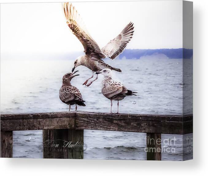 Artcollector Canvas Print featuring the photograph Three Of A Kind by Melissa Messick