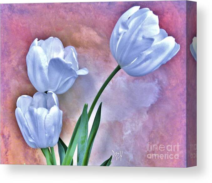 Photo Canvas Print featuring the photograph Three White Tulips by Marsha Heiken