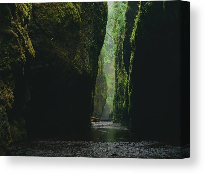 Oregon Canvas Print featuring the photograph Through the River by Britten Adams