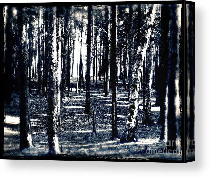 Forest Canvas Print featuring the digital art Through The Woods by Phil Perkins