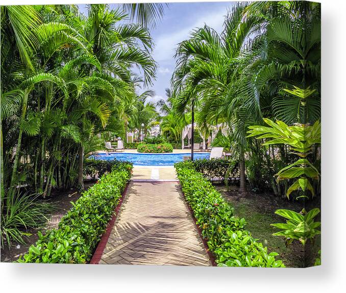 Paradise Canvas Print featuring the photograph To the Pool by Nick Bywater