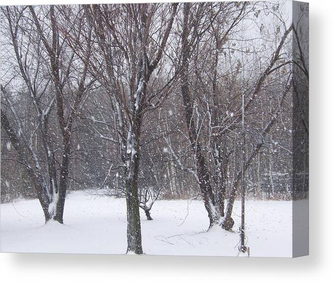Snow Canvas Print featuring the photograph Today - November 25 - Photograph by Jackie Mueller-Jones