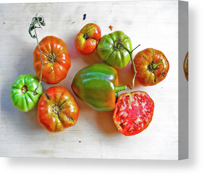 Tomatoes Canvas Print featuring the photograph Tomatoes from the Top by Joe Roache