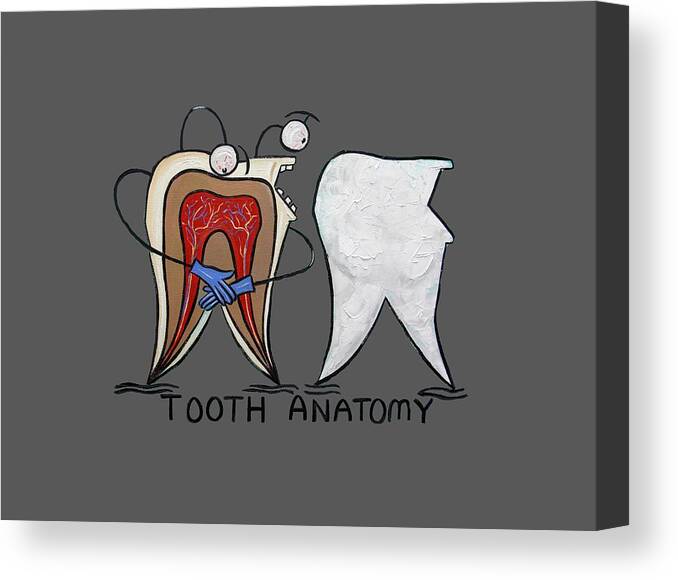Tooth Anatomy T-shirt Canvas Print featuring the painting Tooth Anatomy T-Shirt by Anthony Falbo