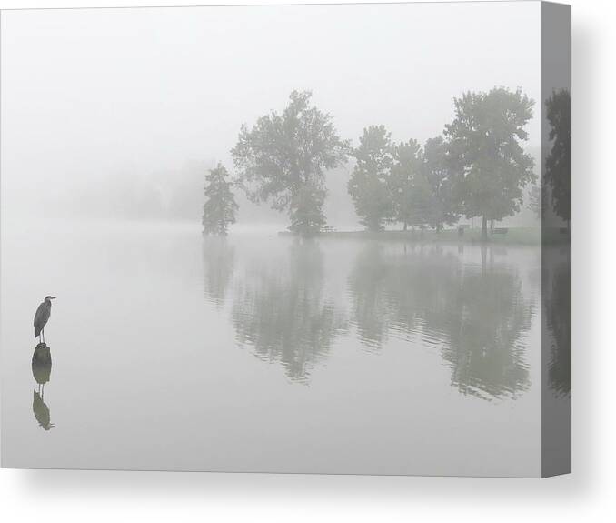 Blue Heron Canvas Print featuring the photograph Tranquil Morning by Sumoflam Photography