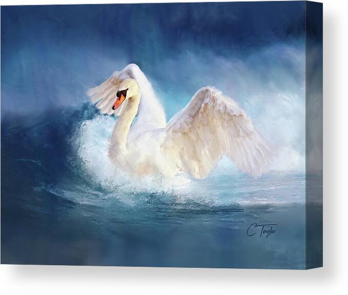Swan Canvas Print featuring the painting Transcendence by Colleen Taylor