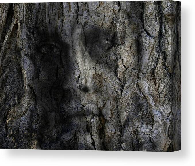 Trees Canvas Print featuring the photograph Tree Memories # 14 by Ed Hall