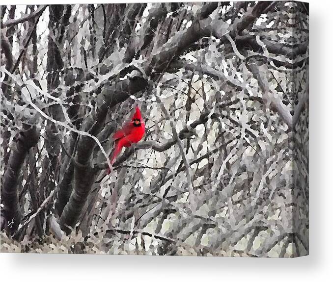 Red Bird Canvas Print featuring the mixed media Tree Ornament, A Male Cardinal on Snowy Winter Tree Branches by Shelli Fitzpatrick
