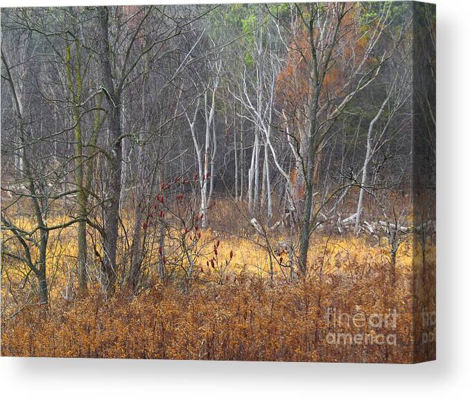 Nature Canvas Print featuring the photograph Trees in Heritage Park on a Foggy Day #2 by Sandra Church