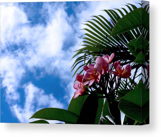 Flower Canvas Print featuring the photograph Tropical Days by Edan Chapman
