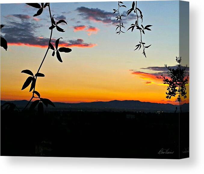 Italy Canvas Print featuring the photograph Tuscan Sunset by Diana Haronis