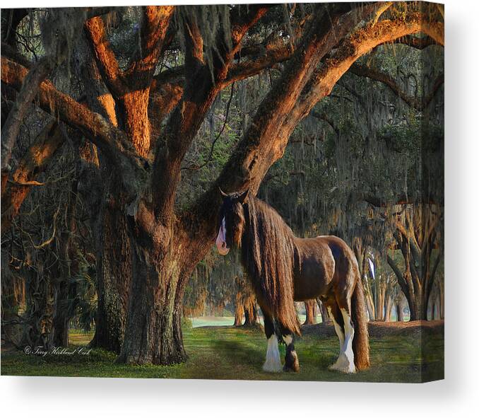 Equine Canvas Print featuring the digital art Two Majestic Souls by Terry Kirkland Cook
