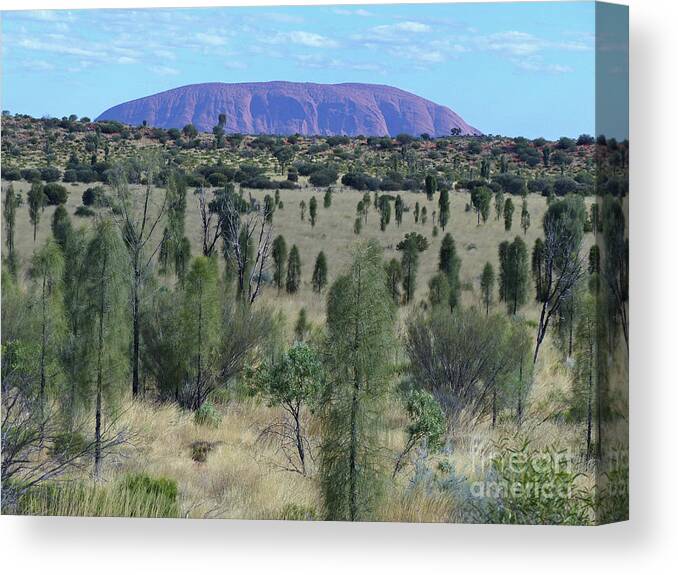 Uluru Canvas Print featuring the photograph Uluru - Australia #2 by Phil Banks