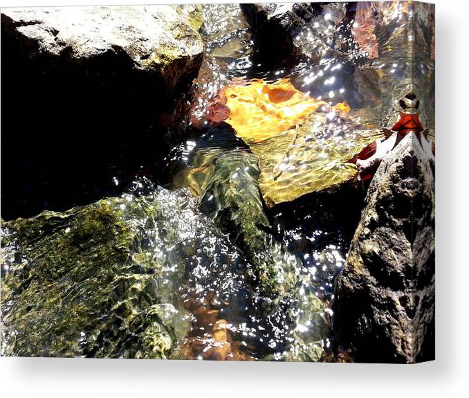 Water Canvas Print featuring the photograph Under the Glass of Water by Robert Knight