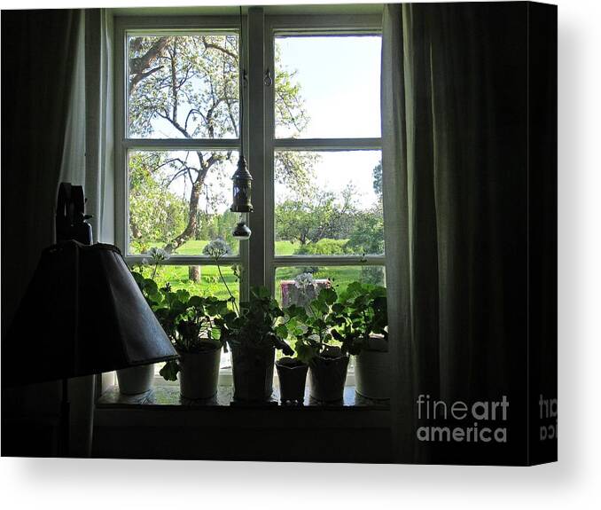 Sweden Canvas Print featuring the photograph View to the garden by Chani Demuijlder