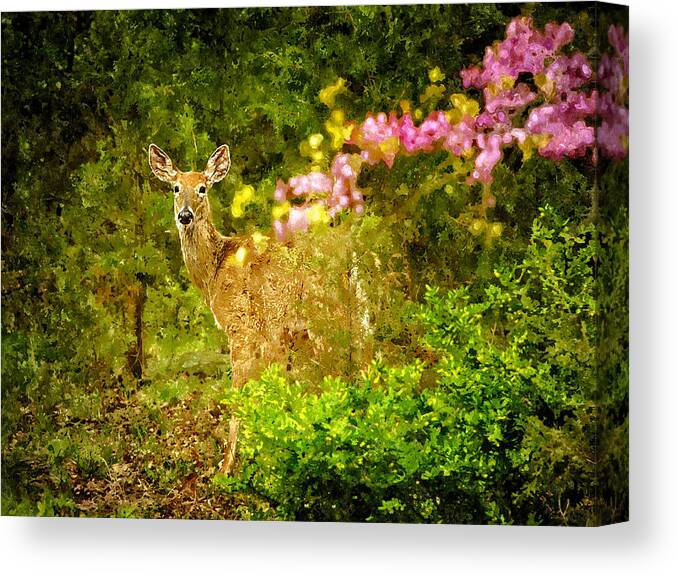 Watercolor Canvas Print featuring the painting Virginia Deer by Rick Mosher