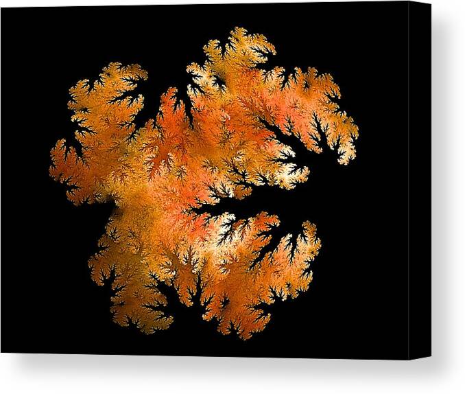 Forest Canvas Print featuring the digital art Waking in Mandelbrot Forest-2 by Doug Morgan