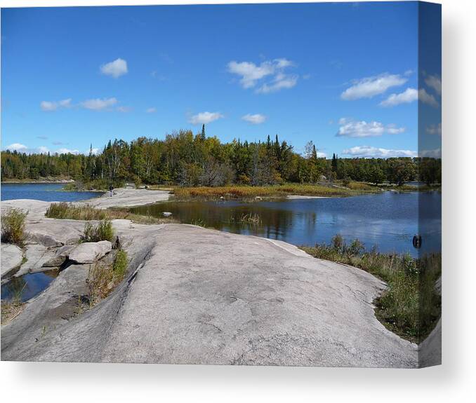 Rocks Canvas Print featuring the photograph Walking on the whale's back by Ruth Kamenev