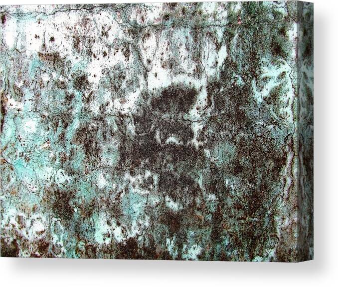 Texture Canvas Print featuring the photograph Wall Abstract 173 by Maria Huntley