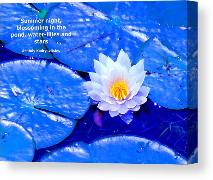 Water Canvas Print featuring the photograph Water Lilly Blue by Ian MacDonald