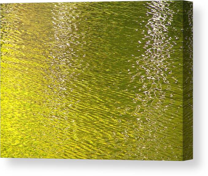 Water Canvas Print featuring the photograph Water Mirror by Oleg Zavarzin