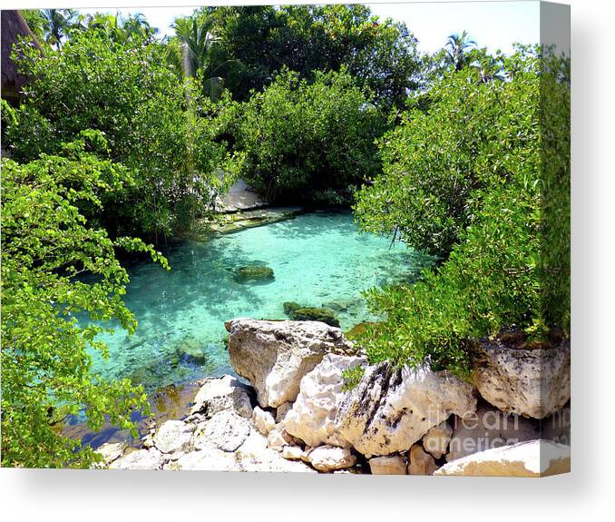 Shallow Water Canvas Print featuring the photograph Water shallows by Francesca Mackenney