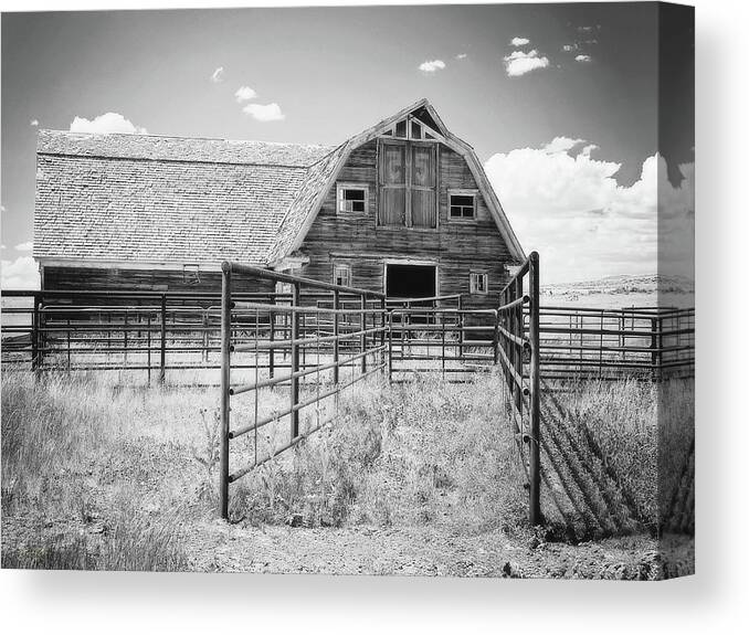 Black Canvas Print featuring the photograph When 55 Was 55 by Amanda Smith