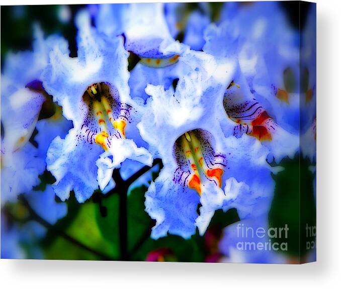 Flowers White Flower Photo Photograph Treated Photoshop Art Artified Artist Craig Walters Canvas Print featuring the photograph White Flowers by Craig Walters