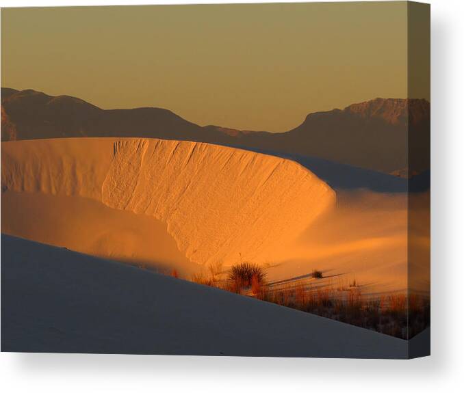 White Sands National Monument Canvas Print featuring the photograph White Sands Dawn #35 by Cindy McIntyre