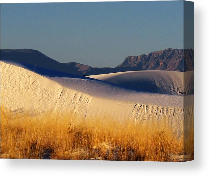White Sands National Monument Canvas Print featuring the photograph White Sands Dawn #81 by Cindy McIntyre