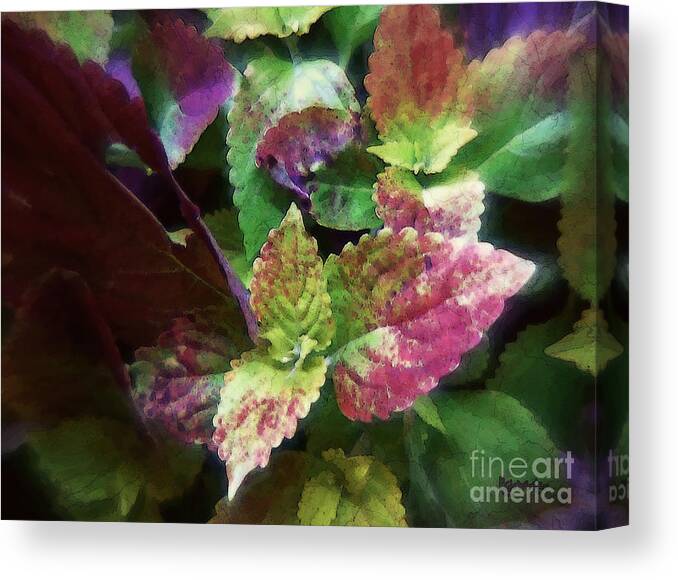 Coleus Canvas Print featuring the painting Who Needs Flowers by RC DeWinter