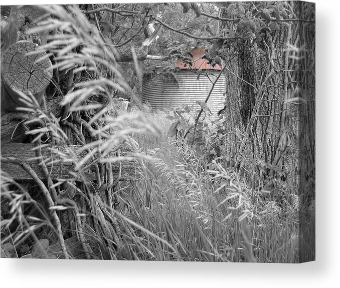 Landscape Canvas Print featuring the photograph Wilbur's Bin II by Dylan Punke