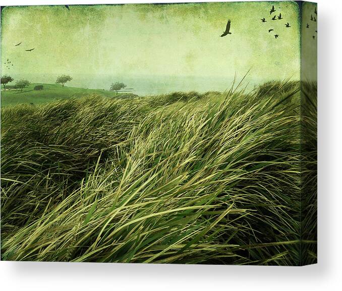 Birds Canvas Print featuring the digital art Windy Day on the Nut by Margaret Hormann Bfa