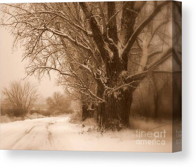 Prosser Canvas Print featuring the photograph Winter Dream by Carol Groenen