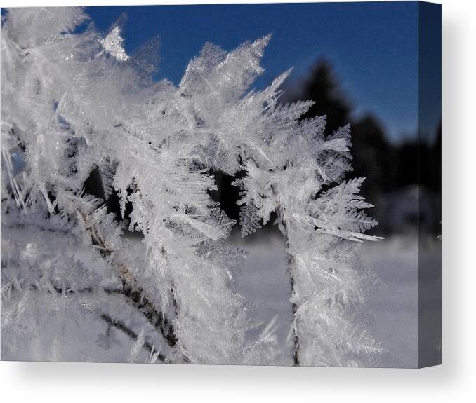 Winter Canvas Print featuring the photograph Winter Frost 6 by Scott Hovind